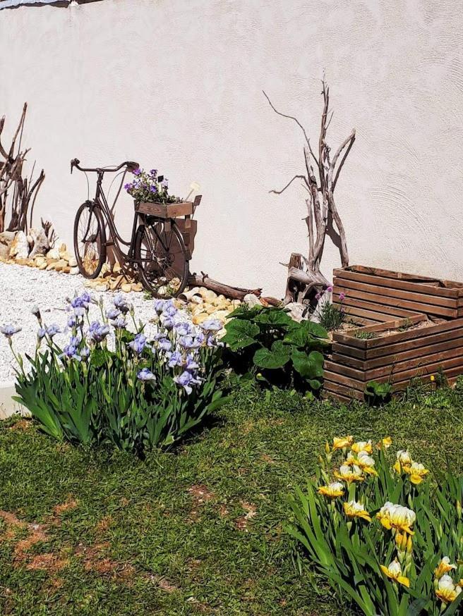 Les Coronilles Bed & Breakfast Saint-Maximin-la-Sainte-Baume Luaran gambar